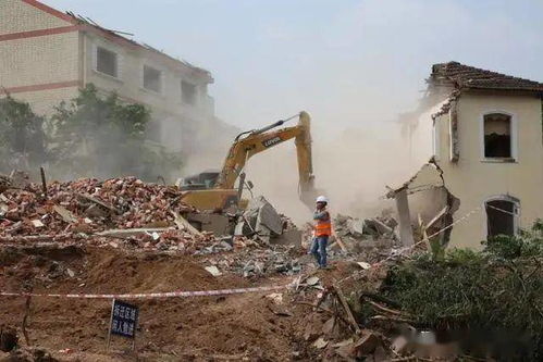 鄂州城市綠化工程的生態實踐與民生影響