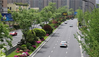 特色蘊于細(xì)節(jié)，匠心鑄就精品——論綠化工程的卓越之道