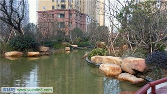 精品園林獎(jiǎng)金獎(jiǎng)項(xiàng)目 和協(xié)·風(fēng)格尚品室外景觀(guān)及綠化工程的藝術(shù)與匠心