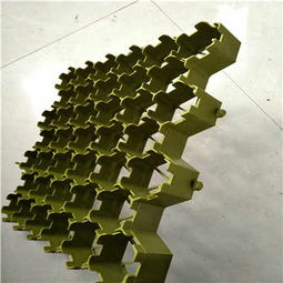 清遠(yuǎn)塑料植草格廠(chǎng)家 以專(zhuān)業(yè)品質(zhì)，助力綠色生態(tài)建設(shè)